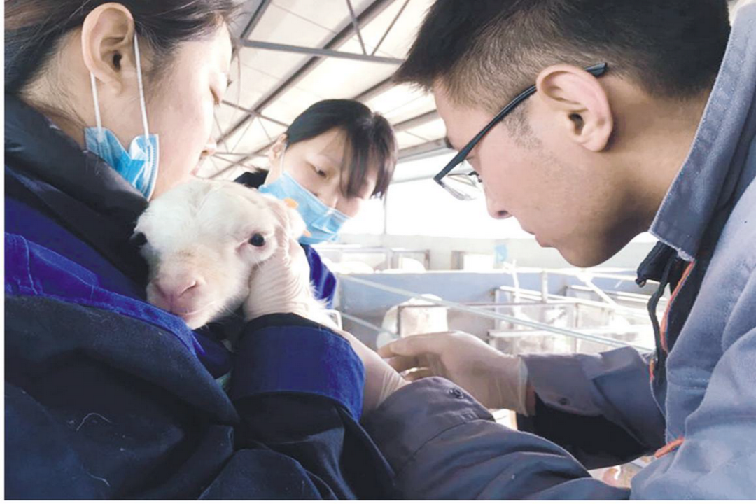 當好產(chǎn)業(yè)扶貧主力軍，打贏脫貧攻堅戰(zhàn)